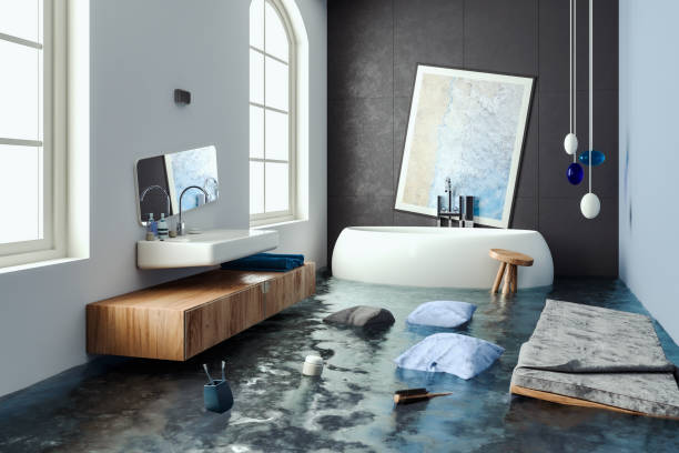 Best Water damage cleanup near me  in Three Lakes, WA