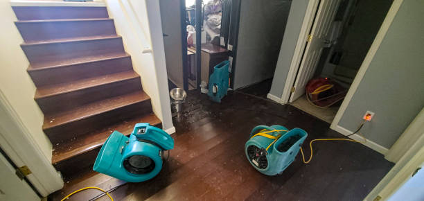 Best Ceiling water damage repair  in Three Lakes, WA