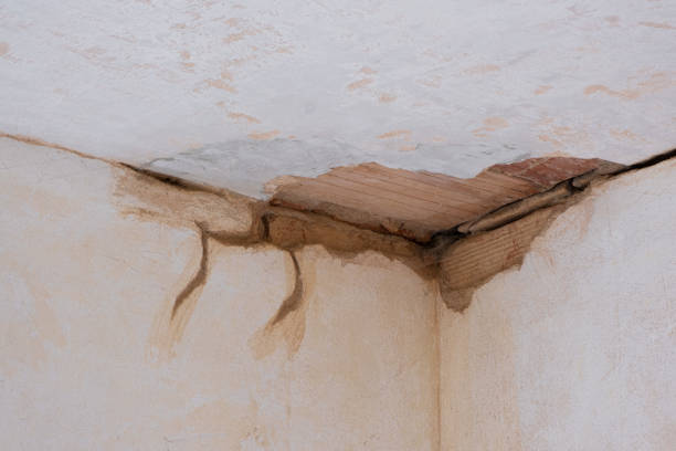 Best Basement water damage restoration  in Three Lakes, WA