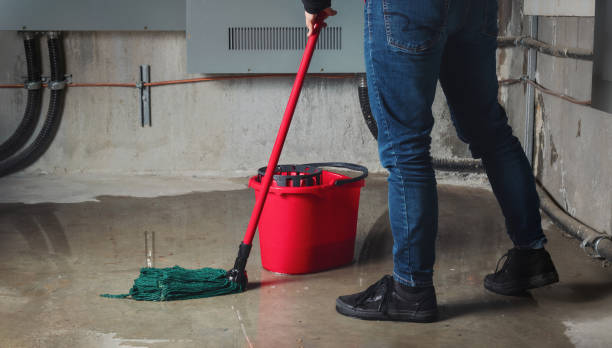 Best Flood damage cleanup  in Three Lakes, WA