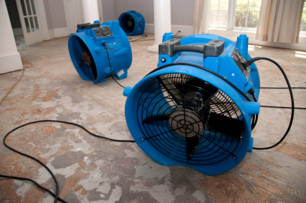 Best Emergency water extraction  in Three Lakes, WA