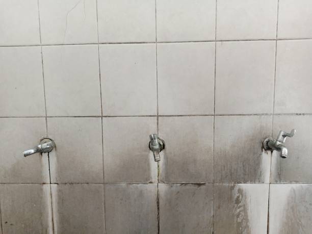 Best Water damage repair service  in Three Lakes, WA