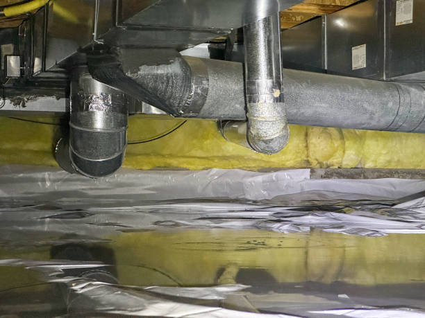 Best Mold removal after water damage  in Three Lakes, WA